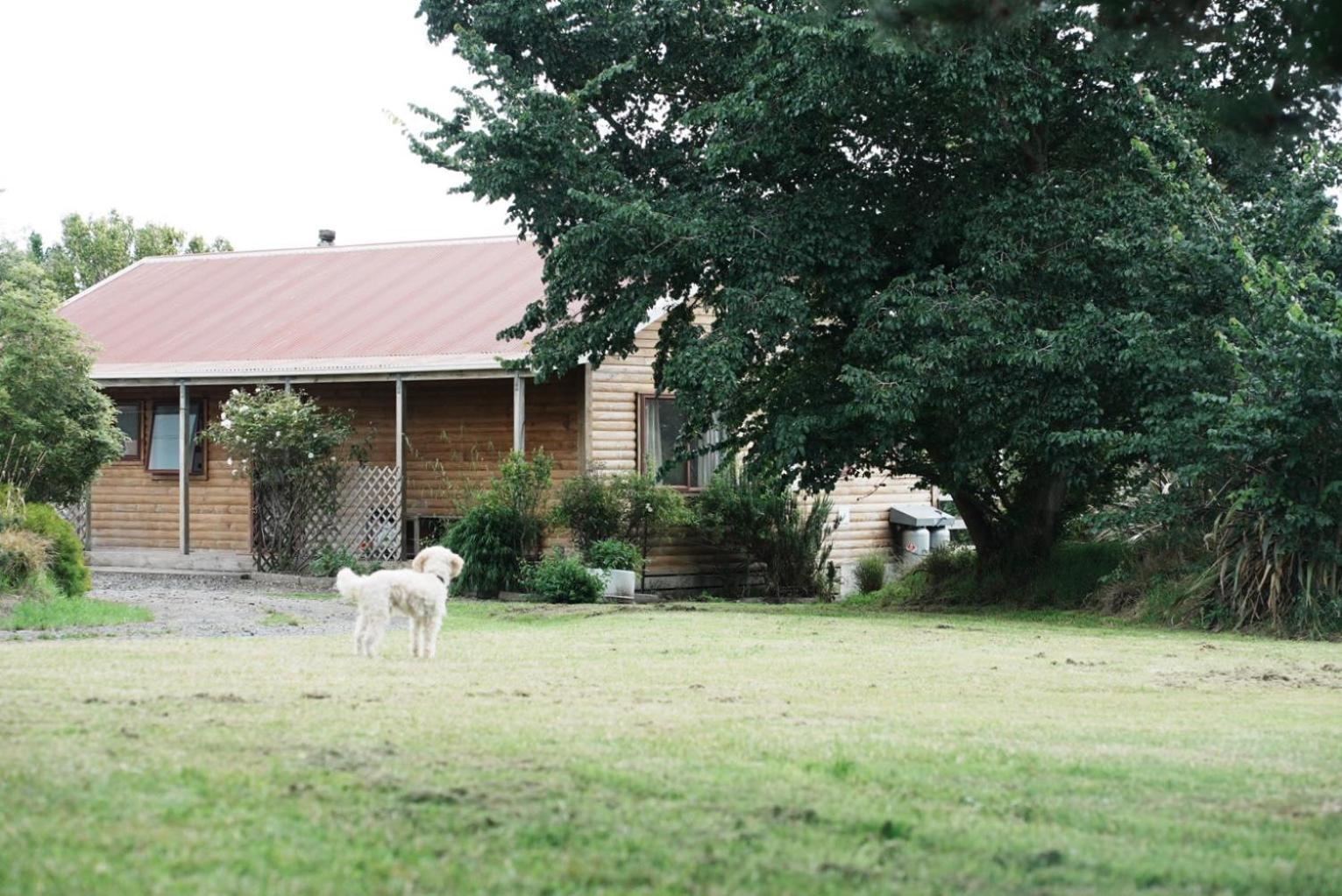 A Cabin With A Big View, Comfort And Tranquility, Close To Vines Martinborough Exteriér fotografie