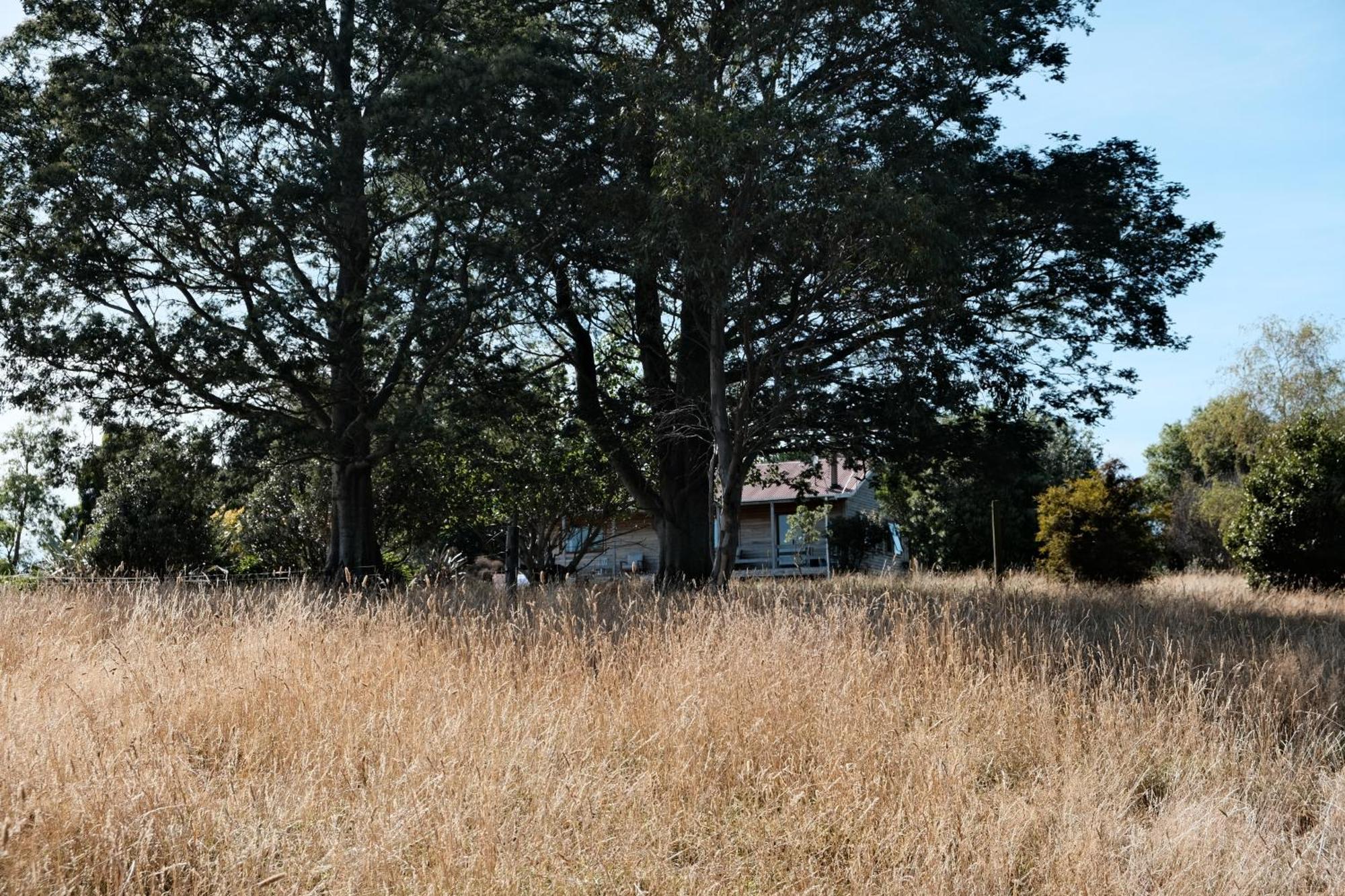 A Cabin With A Big View, Comfort And Tranquility, Close To Vines Martinborough Exteriér fotografie