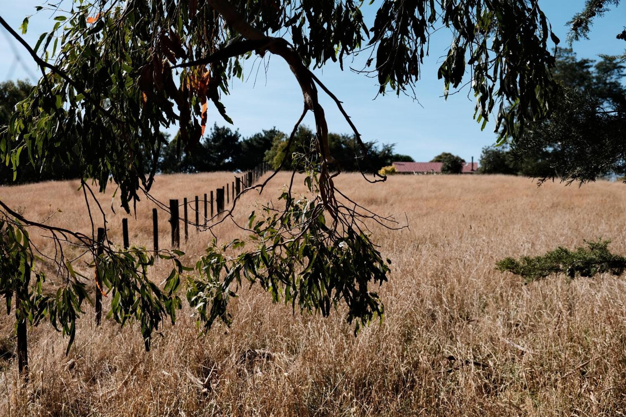 A Cabin With A Big View, Comfort And Tranquility, Close To Vines Martinborough Exteriér fotografie