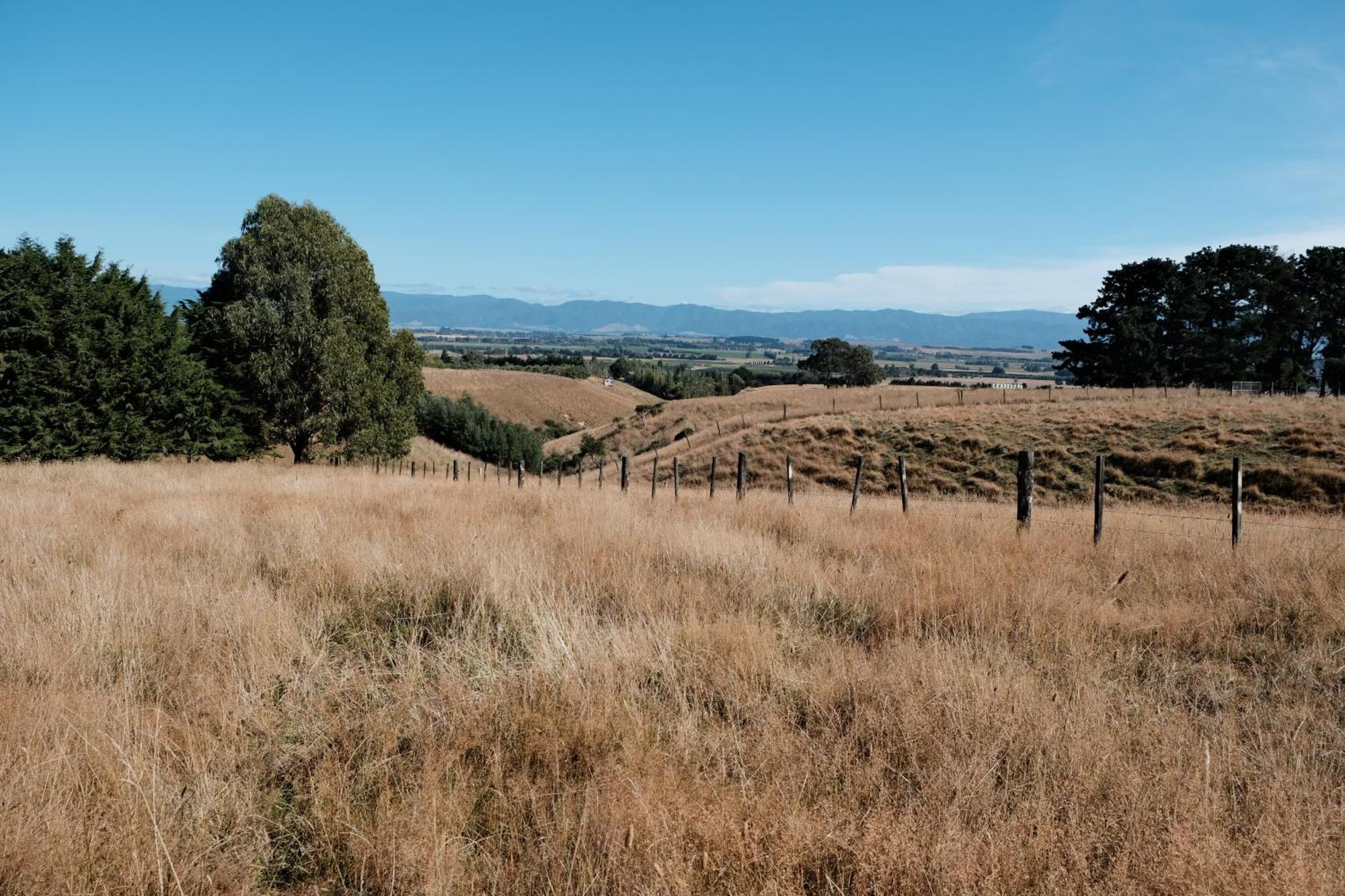 A Cabin With A Big View, Comfort And Tranquility, Close To Vines Martinborough Exteriér fotografie