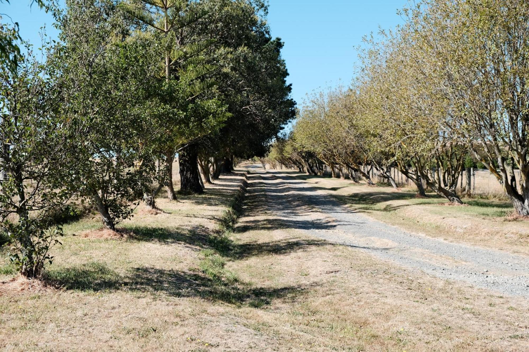 A Cabin With A Big View, Comfort And Tranquility, Close To Vines Martinborough Exteriér fotografie